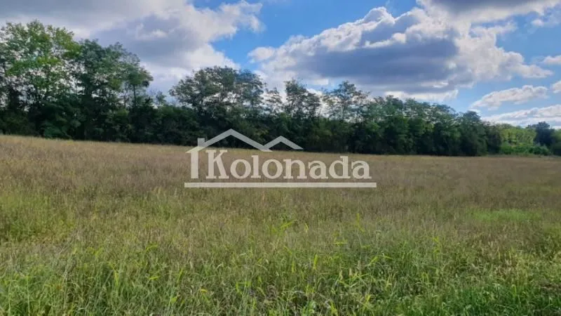 Prodaja, plac, 7600m², Dučina, Sopot