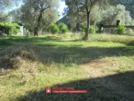 Prodaja, plac, 728m², Čanj, Bar - image 4