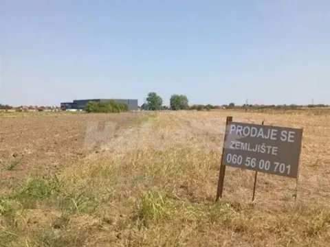 Prodaja, plac, 10300m², Dobanovci, Surčin - image 6