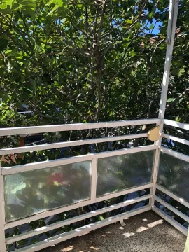 Balcony with metal railing and tree canopy view. - image 3