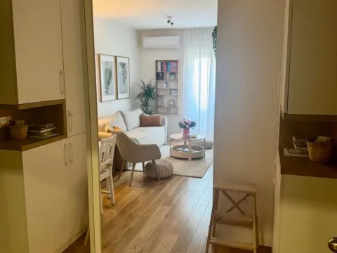 Izdavanje, jednosoban stan, 40m², Central Point, Podgorica - image 6