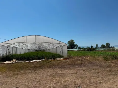 Prodaja, plac, 5900m², Zeta, Podgorica - image 3