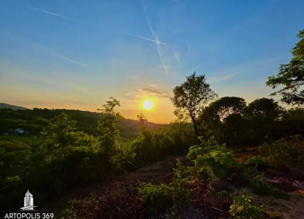 Prodaja, plac, 3729m², Artiljevo, Petrovaradin