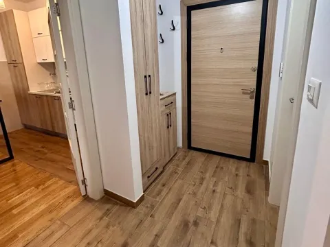 Rent, one bedroom apartment, 43m², Zabjelo, Podgorica - image 6