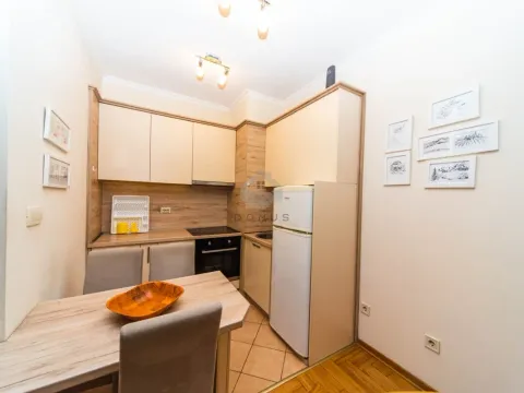 Izdavanje, jednosoban stan, 40m², Stari Aerodrom, Podgorica - image 4