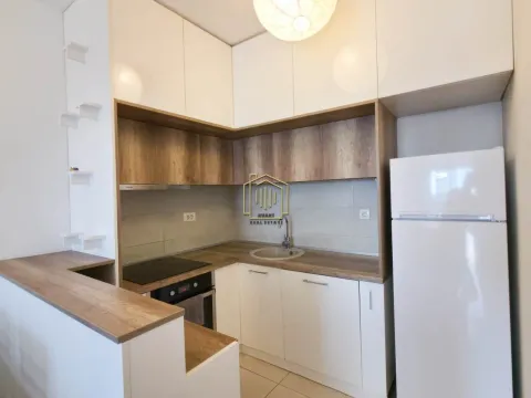 Izdavanje, jednosoban stan, 55m², Ljubović, Podgorica - image 7