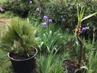 Prodaja, kuća, 260m², Sutomore, Bar - image 20