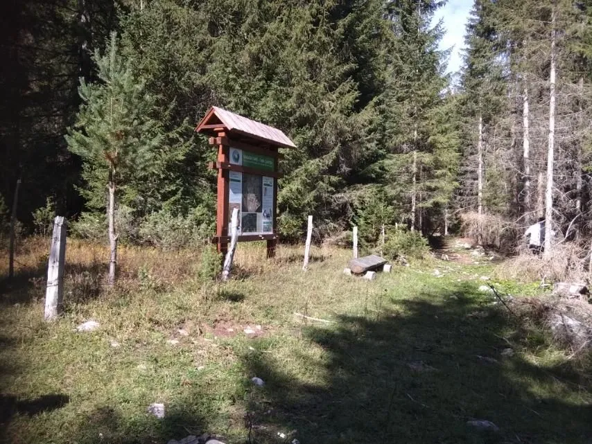 Prodaja, plac, 17803m², Žabljak, Crna Gora