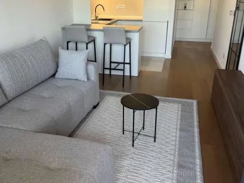 Izdavanje, jednosoban stan, 31m², Telep, Novi Sad Sve Podlokacije - image 3