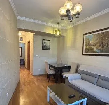 Izdavanje, jednosoban stan, 55m², Centar, Podgorica