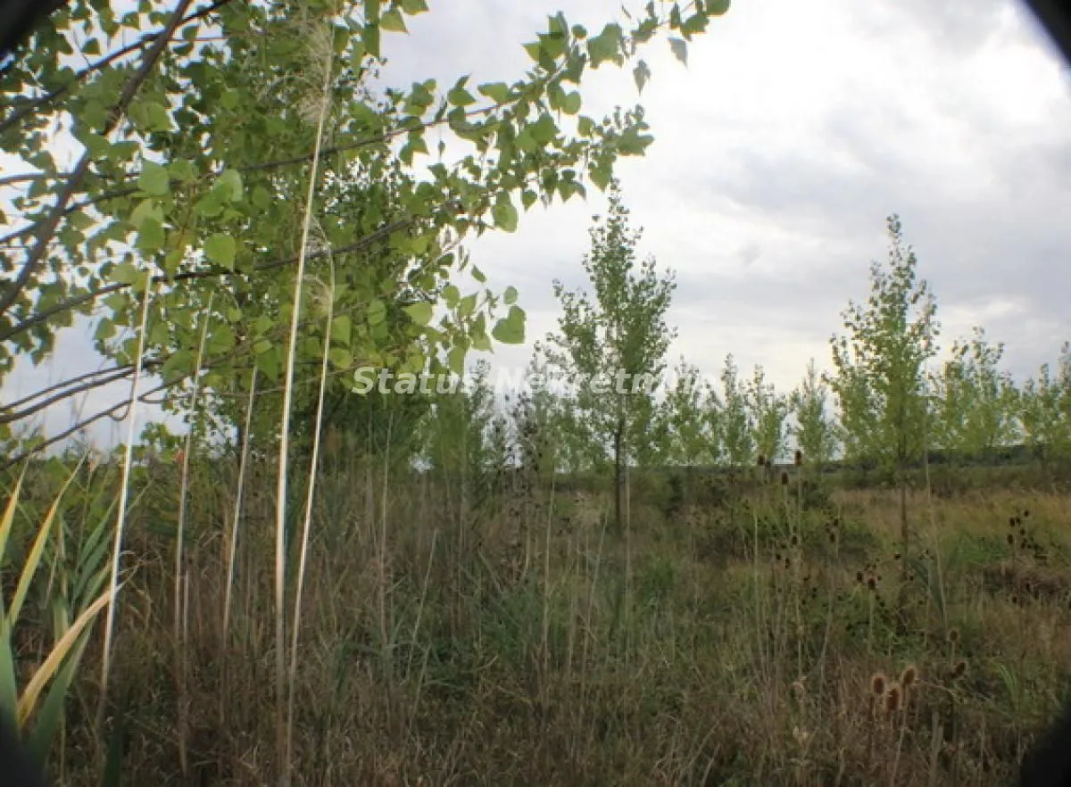 Prodaja, plac, 1378m², Zrenjanin, Srbija