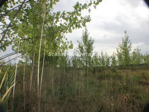 Prodaja, plac, 1378m², Zrenjanin, Srbija - image 45