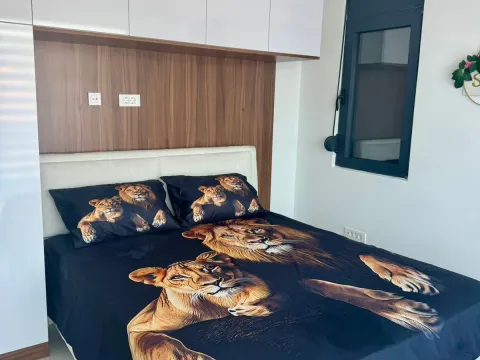 Rent, apartment, 37m², Murtovina, Podgorica - image 13