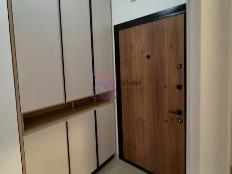 Rent, one bedroom apartment, 46m², Zabjelo, Podgorica - image 3