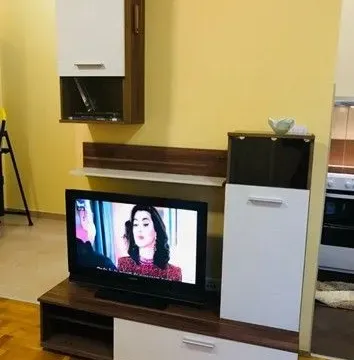 Rent, one bedroom apartment, 50m², Zabjelo, Podgorica - image 5