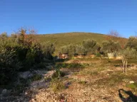 Prodaja, plac, 810m², Žanjice, Herceg Novi - image 4