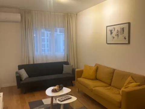 Izdavanje, jednosoban stan, 47m², Central Point, Podgorica - image 9