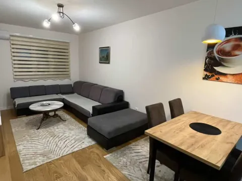 Izdavanje, jednosoban stan, 47m², Central Point, Podgorica - image 4