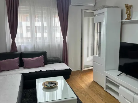 Rent, one bedroom apartment, 49m², Central Point, Podgorica - image 2