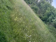 Prodaja, plac, 3516m², Cetinje, Crna Gora - image 7