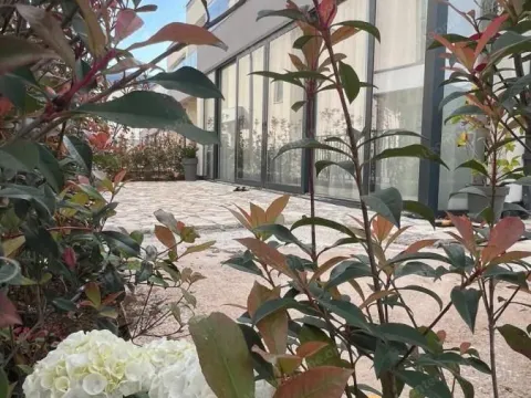 Prodaja, kuća, 176m², Kotor, Crna Gora - image 34