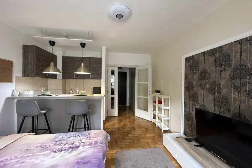 Rent, one bedroom apartment, 25m², Vračar Sve Podlokacije, Beograd