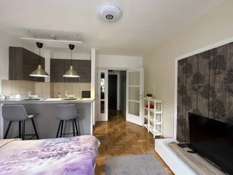 Stan in Vračar Sve Podlokacije