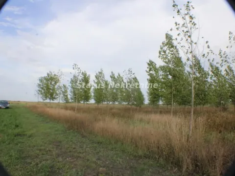 Prodaja, plac, 1378m², Zrenjanin, Srbija - image 19