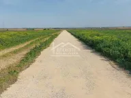 Prodaja, plac, Batajnica, Beograd - image 5