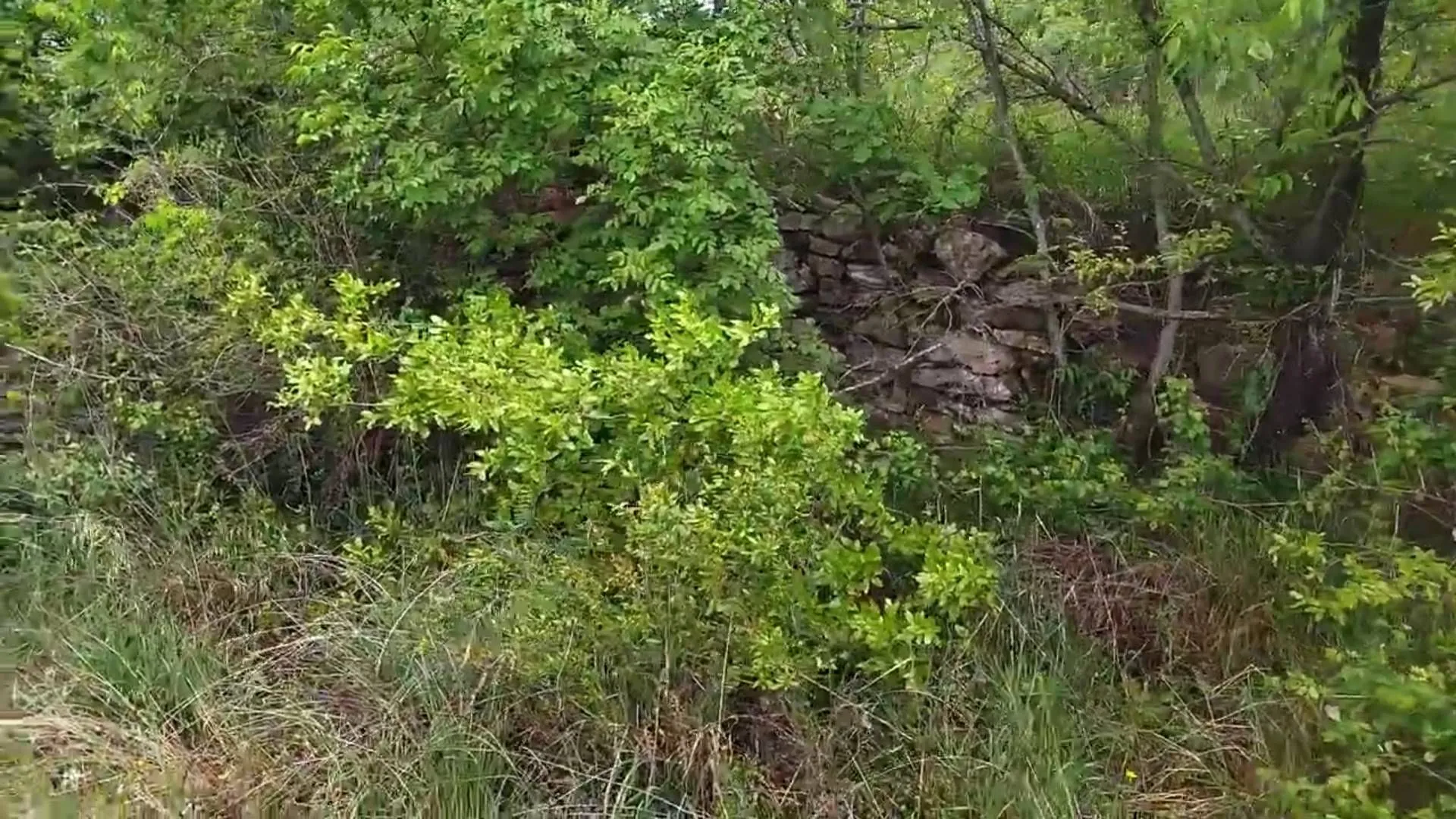 Prodaja, plac, 3493m², Barutana, Podgorica
