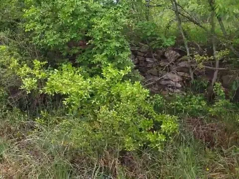 Prodaja, plac, 3493m², Barutana, Podgorica - image 6