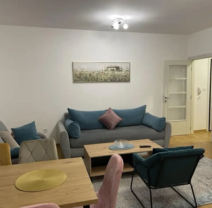 Rent, one bedroom apartment, 46m², Blok 9, Podgorica