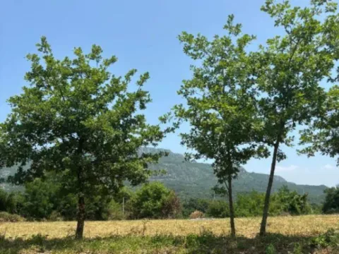 Prodaja, plac, 2400m², Pričelje, Podgorica - image 3