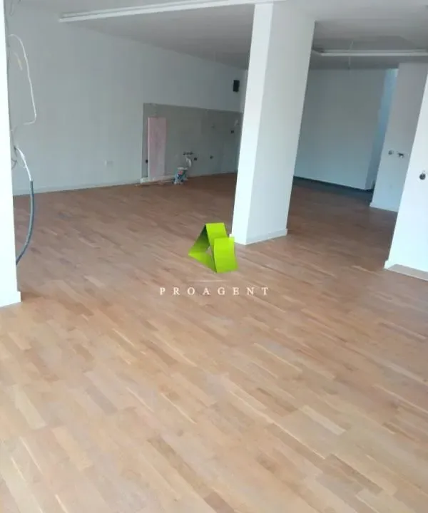 Izdavanje, trosoban stan, 192m², Palilula, Niš