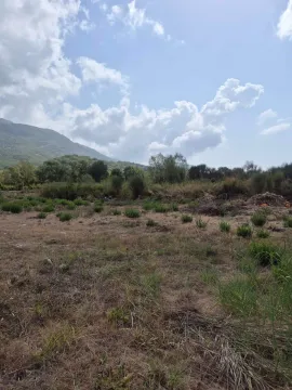 Pogled na zemljište sa niskim rastinjem i planinama u pozadini. - image 11