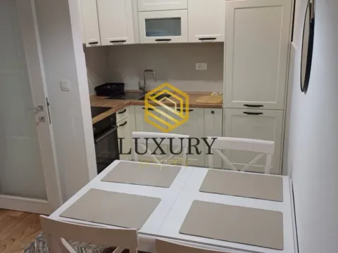 Izdavanje, jednosoban stan, 45m², Central Point, Podgorica - image 11