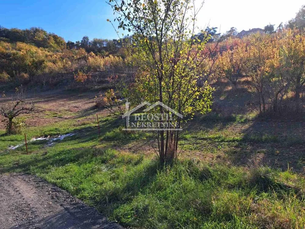 Prodaja, plac, 6700m², Grocka, Beograd