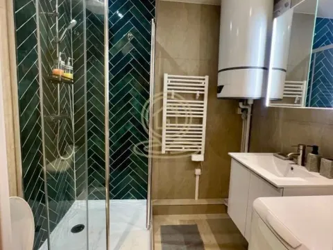 Izdavanje, dvosoban stan, 50m², Palilula Sve Podlokacije, Beograd - image 7