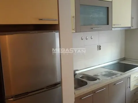 Izdavanje, dvosoban stan, 40m², Novi Beograd Blok 63, Novi Beograd Sve Podlokacije - image 11