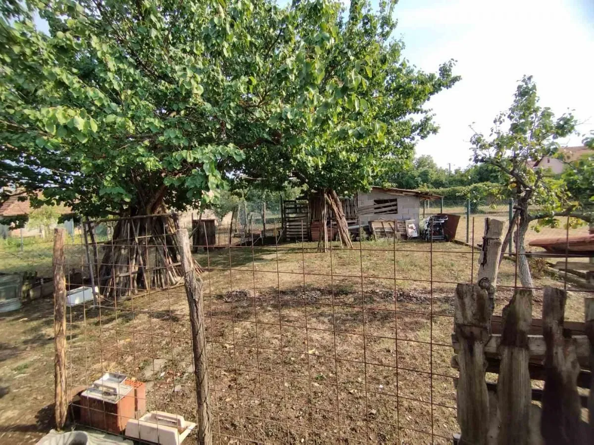 Sale, house, 300m², Batočina, Srbija
