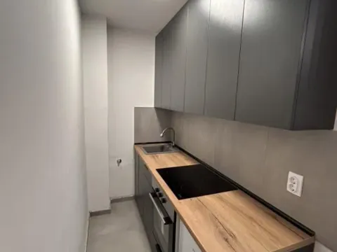 Izdavanje, garsonjera, 22m², Centar, Novi Sad - image 4