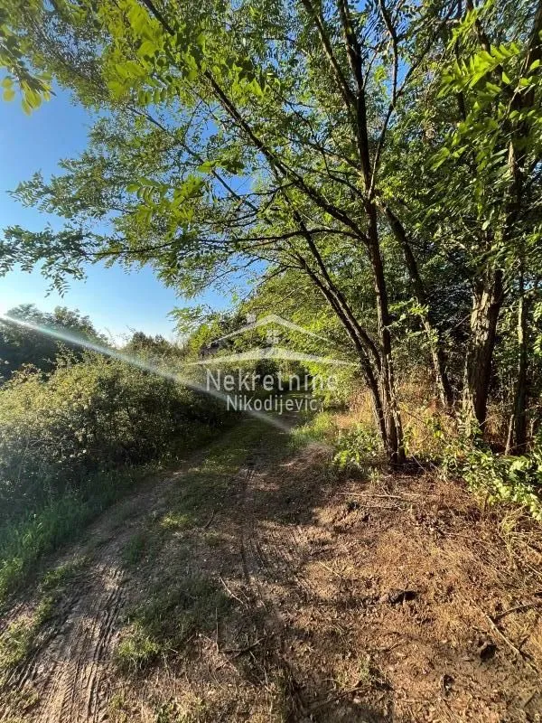 Prodaja, plac, 15000m², Sopot, Beograd