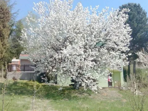 Prodaja, kuća, 70m², Irig, Srbija - image 20