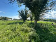 Prodaja, plac, 2737m², Kosić, Danilovgrad - image 4