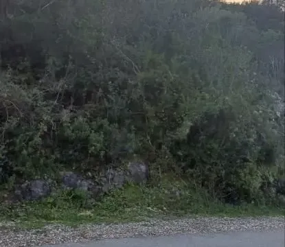 Prodaja, plac, 2300m², Radovići, Tivat - image 8