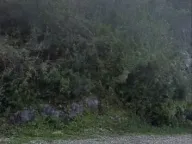 Sale, land lot, 2300m², Radovići, Tivat - image 8