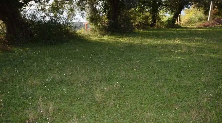 Prostrano travnato dvorište okruženo drvećem.