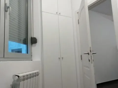 Izdavanje, dvosoban stan, 33m², Vračar Sve Podlokacije, Beograd - image 9