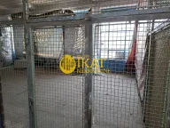 Izdavanje, poslovni prostor, 120m², Lion, Zvezdara Sve Podlokacije - image 3