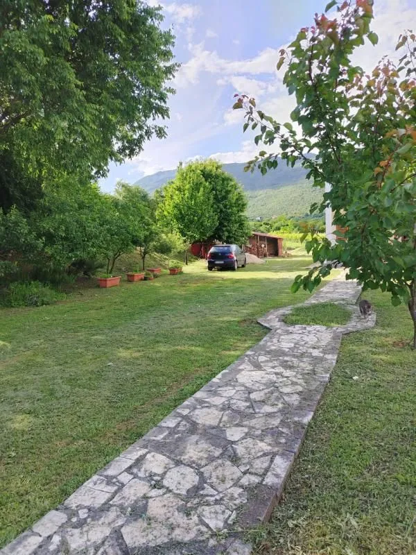 Dvorište sa kamenom stazom, drvećem i pogledom na brda.